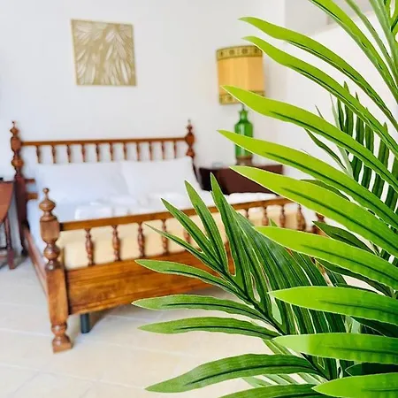 Wild Rooms&house Appart hôtel